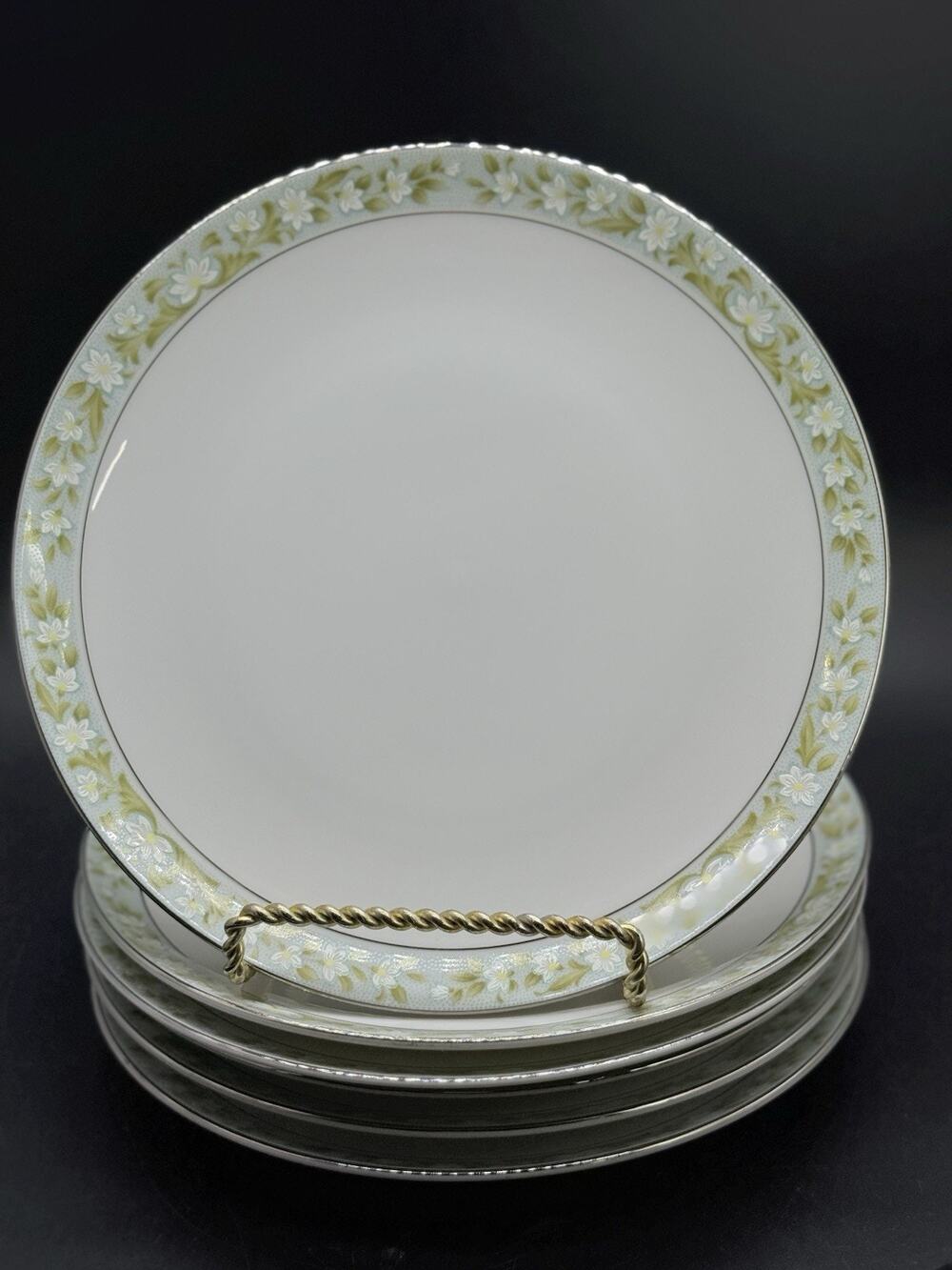 Sango Daisy chain salad plates Set Of 6 Floral Spring Platinum Rim